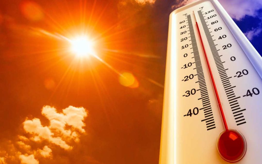 Emergenza caldo: attivo il numero